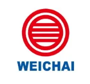 Головка блока цилиндров в сборе (ГБЦ) двигателя Weichai WD615/WD10