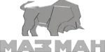 ЗАО "МАЗ-МАН" логотип