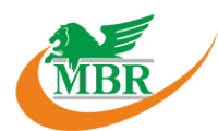 Иностранное унитарное предприятие "МБР ПЛЮС" logo