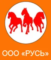 Генератор синх. 0,95кВт(COP), 220В, 4-х тактный, бензин АИ-92, бак 5,5л, 23кг