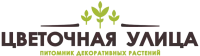 Питомник декоративных растений «Цветочная улица» логотип