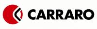 Трансмиссия CARRARO (Карраро)
