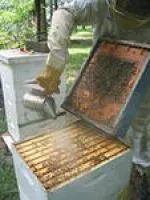 Оборудование для окуривания пчел