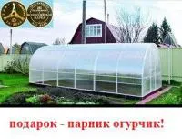 Сверхпрочная оцинкованная теплица из поликарбоната "Сибирская" 6x3x2