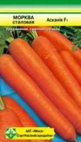 Семена моркови Аскания F1