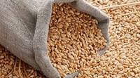Пшеница (фуражная) мешок 30 кг