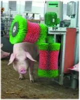 Автоматическая Г-образная щетка для свиней