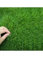 Семена травы газонной Универсал ЭКО 0.9 кг CENTNAS (РП)