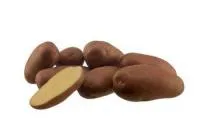 Картофель семенной "Маниту"