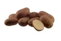 Картофель семенной "Роко"