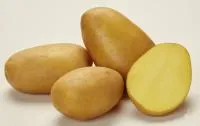 Картофель семенной КРОНЕ